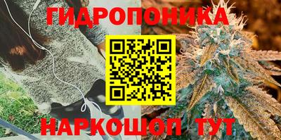молекула духа Конаково