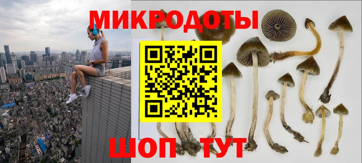 Псилоцибиновые грибы мицелий  Вход с VPN  Галлюциногенные грибы Psilocybe  Новоуральск 