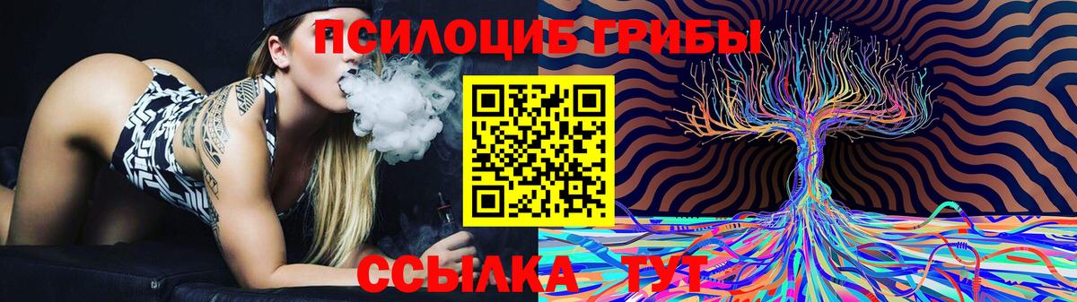 Псилоцибиновые грибы GOLDEN TEACHER Новоуральск